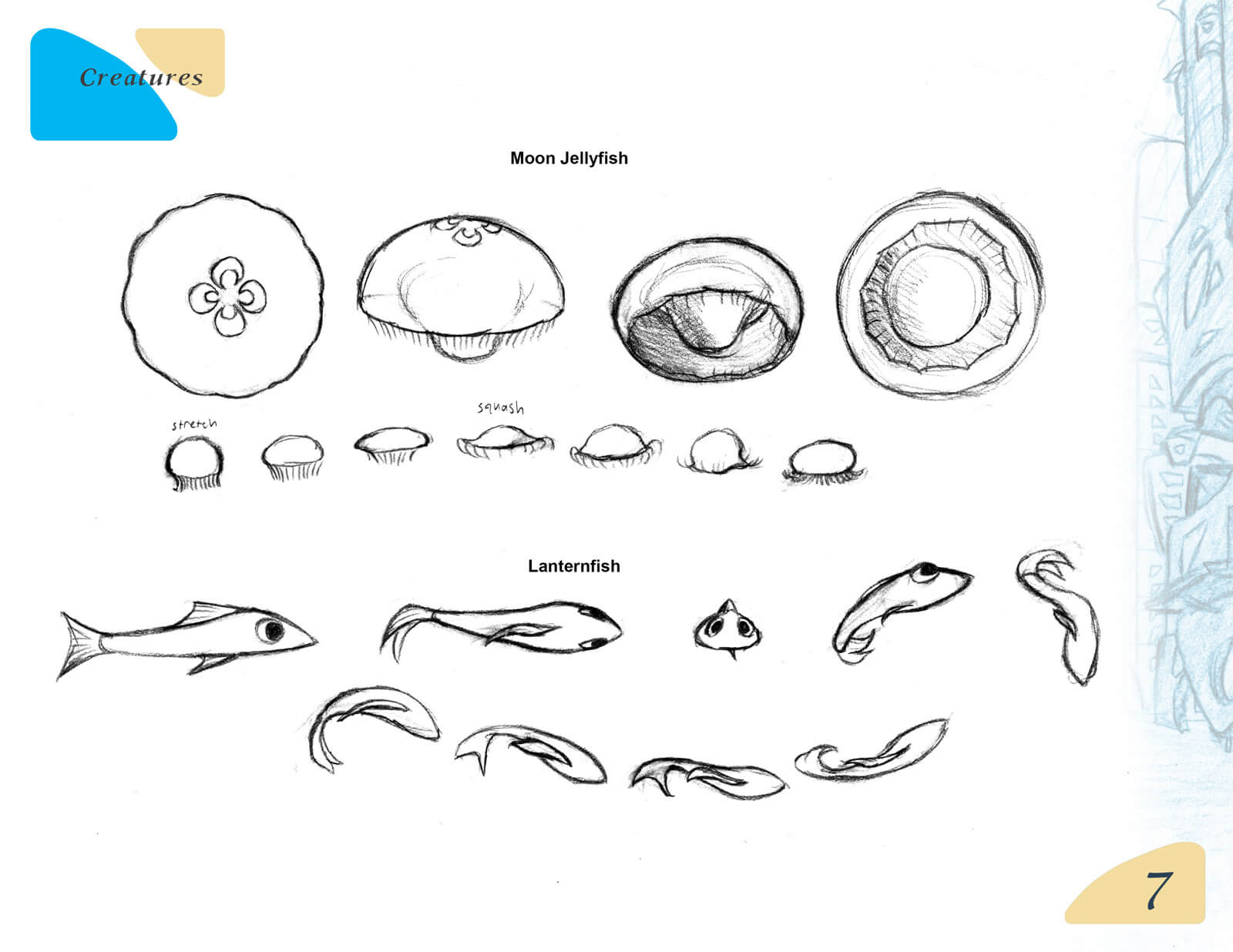 Black-and-white sketches of a moon jellyfish and lanternfish in various poses for the film Beneath the Night Sea