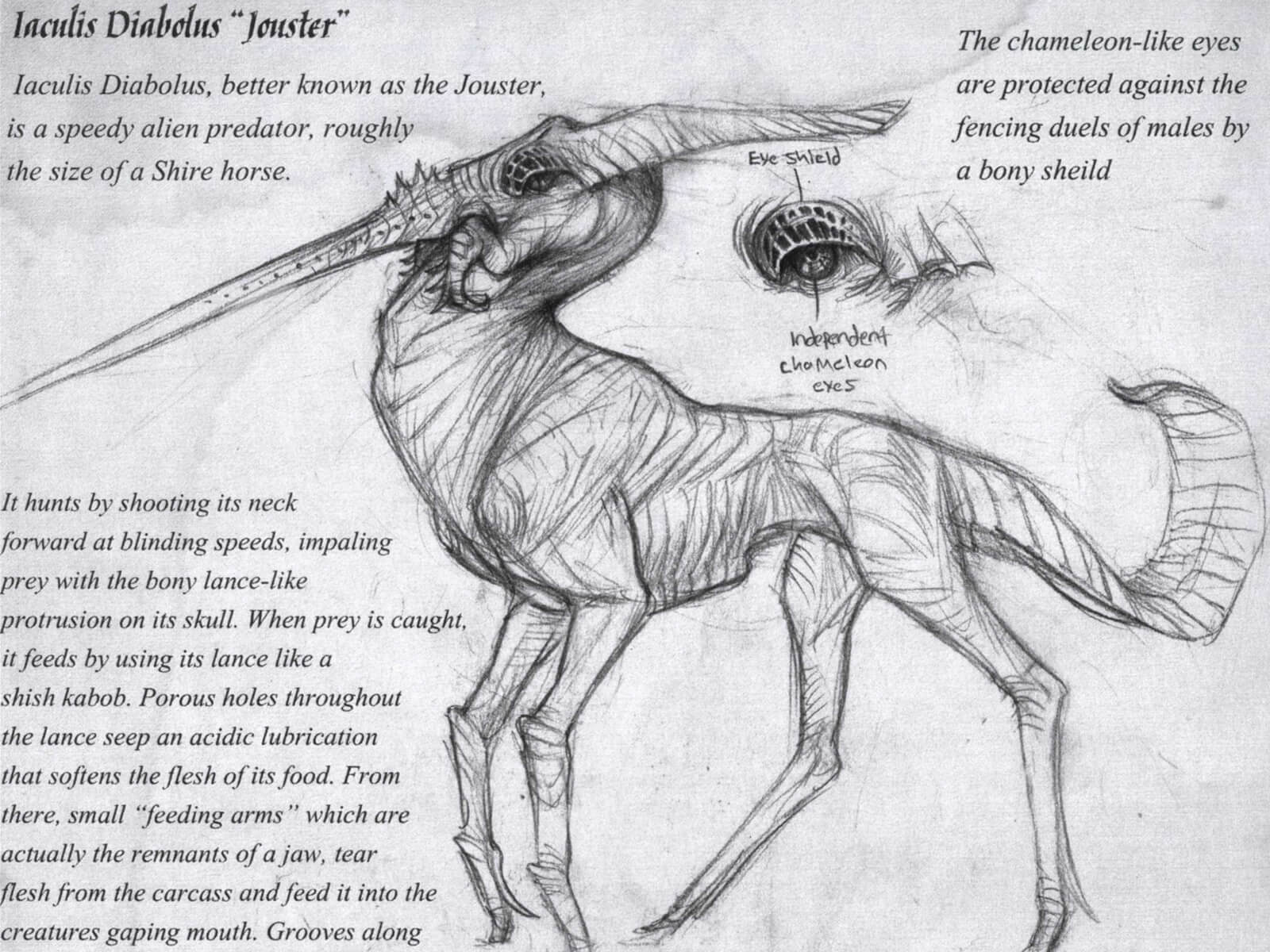 black and white drawing of the anatomy of an alien predator with a horse's body and a lance-like protusion on its skull
