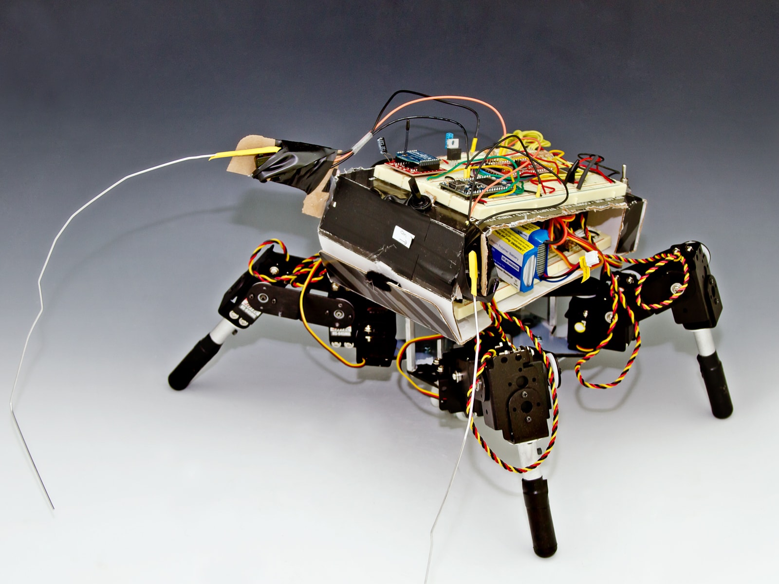 A four-legged robot with exposed wiring and circuitry.