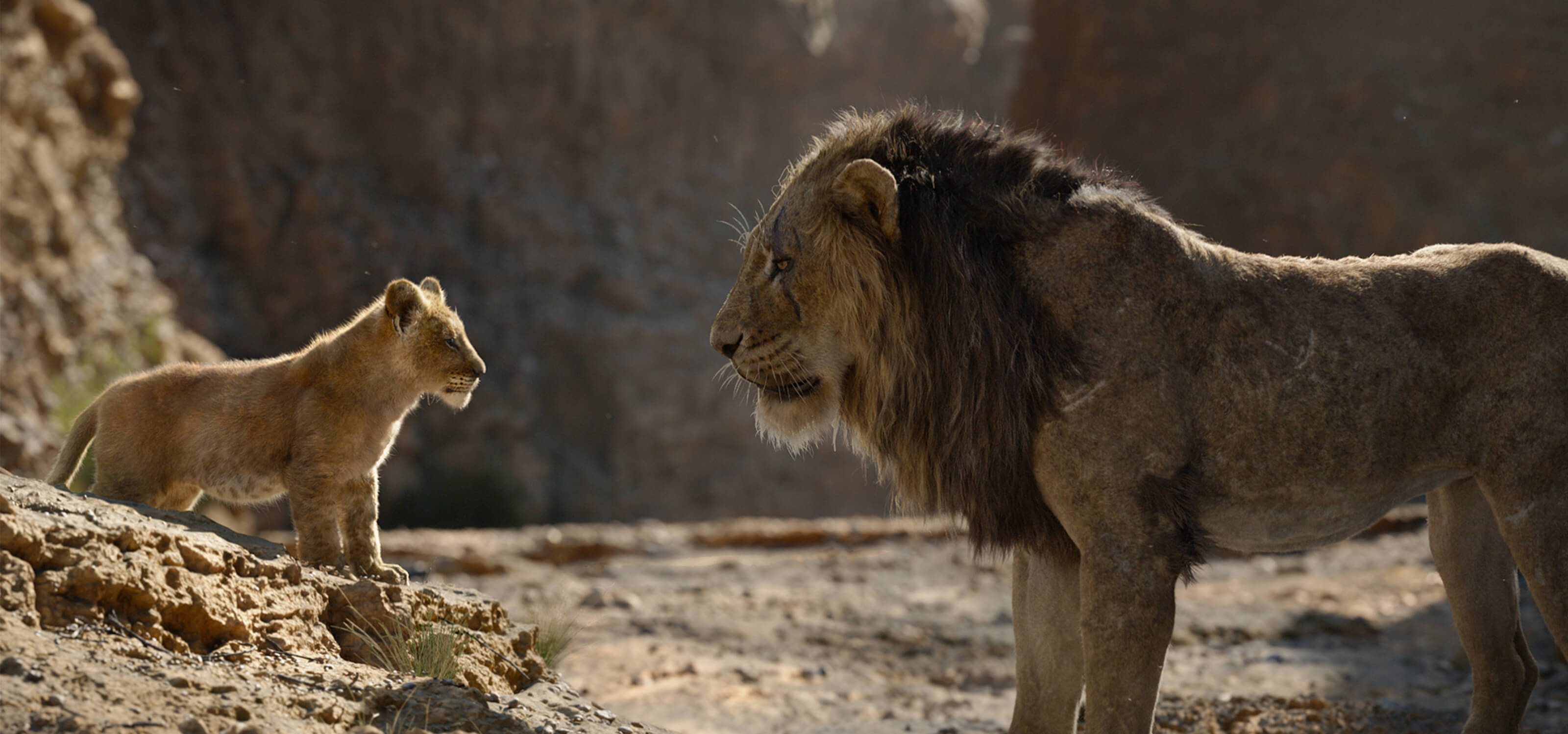 Simba and Mufasa speak to one another in the African savannah in The Lion King.