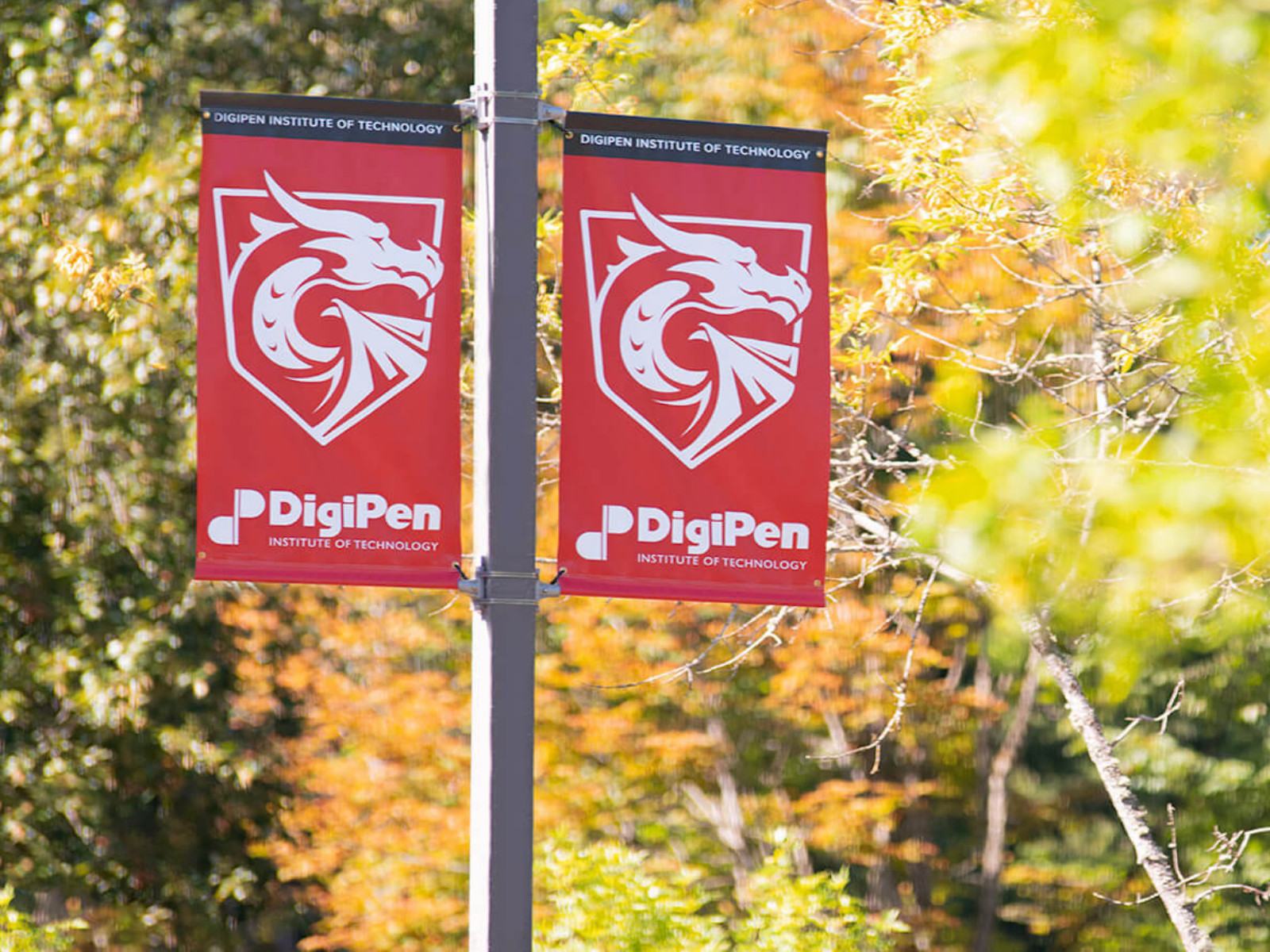 Two DigiPen banners on pole set against fall scenery