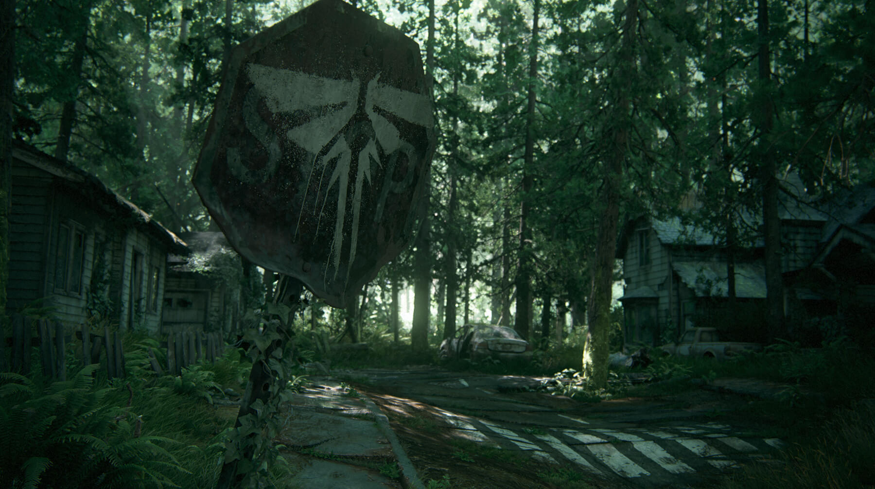 A decaying residential street, surrounded by forest