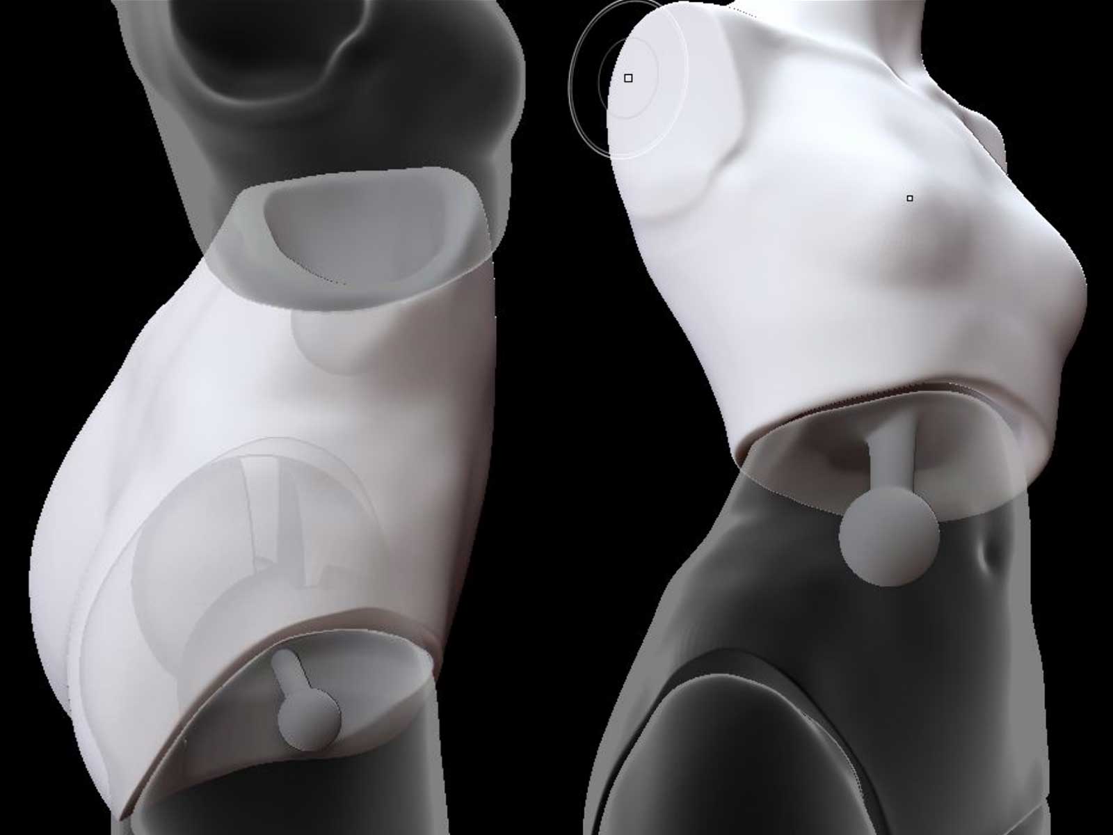 A 3D model of female chest and waist pieces for the assembly of a doll.