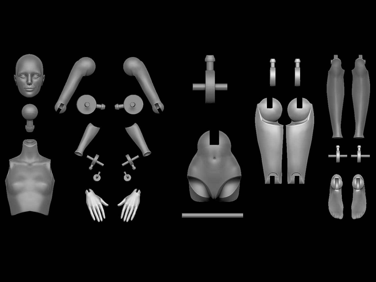 A chart with 3D models of all the separate body and hinge pieces needed to assemble a female doll.
