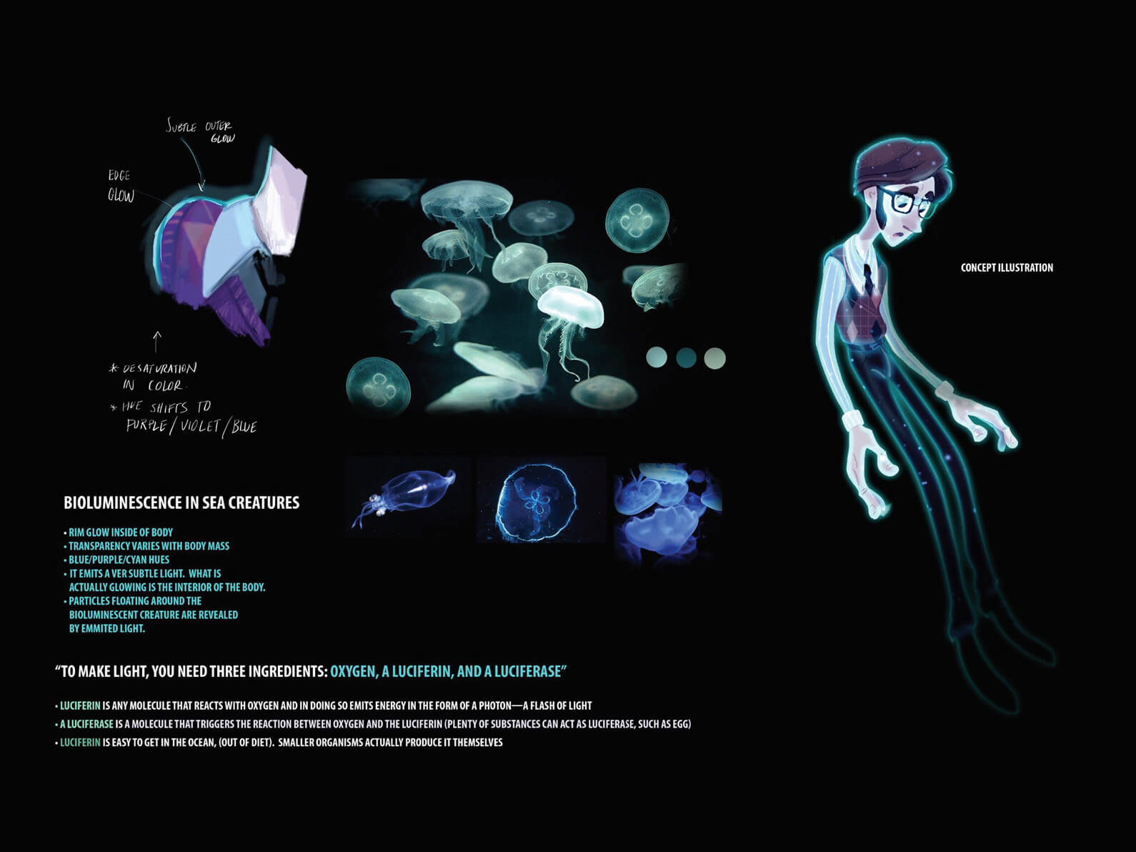 Presentation for Orientation Center for the Unseen describing bioluminescent sea creatures as inspiration for lighting scheme