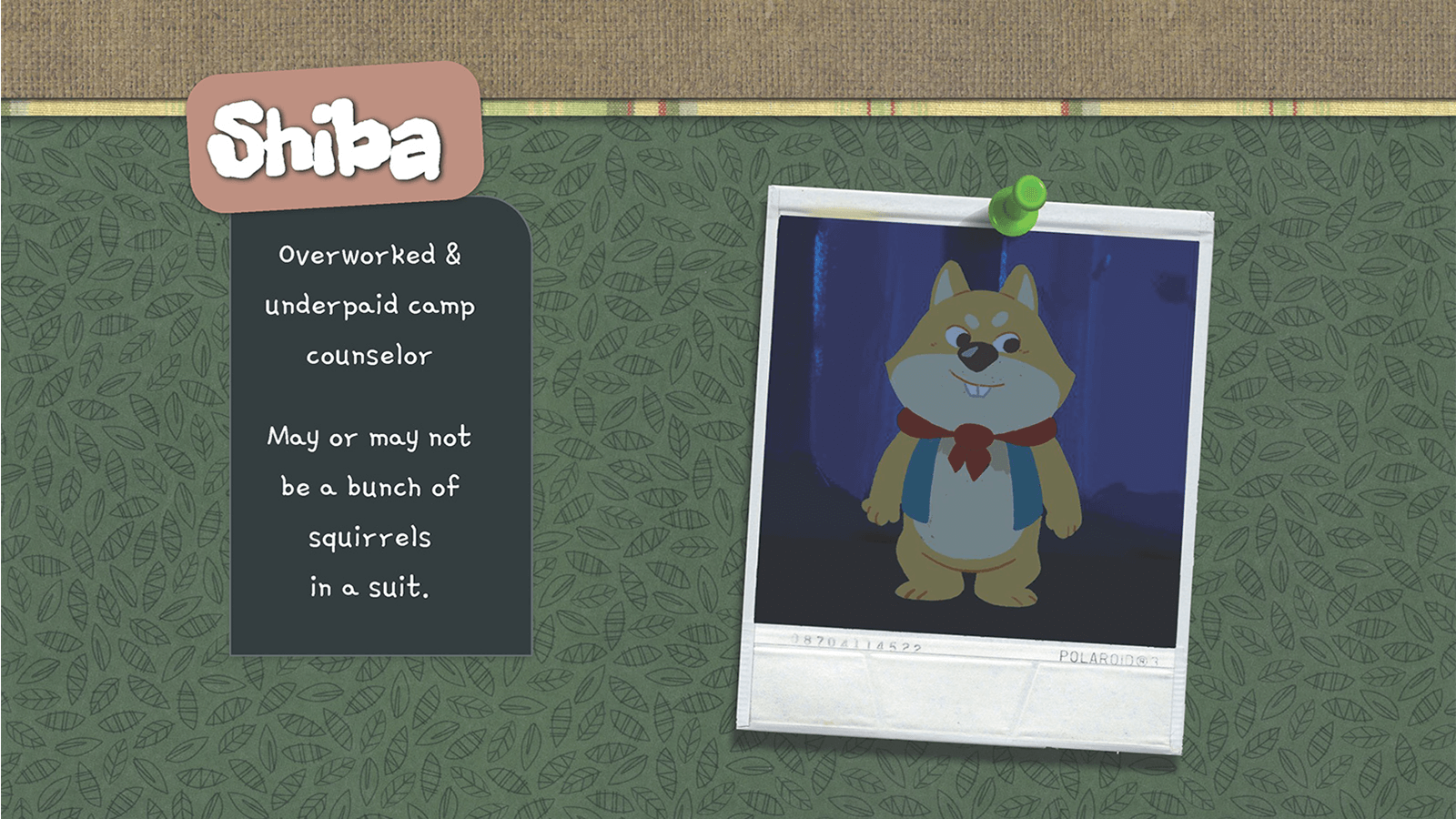 Description and look of the character Shiba.