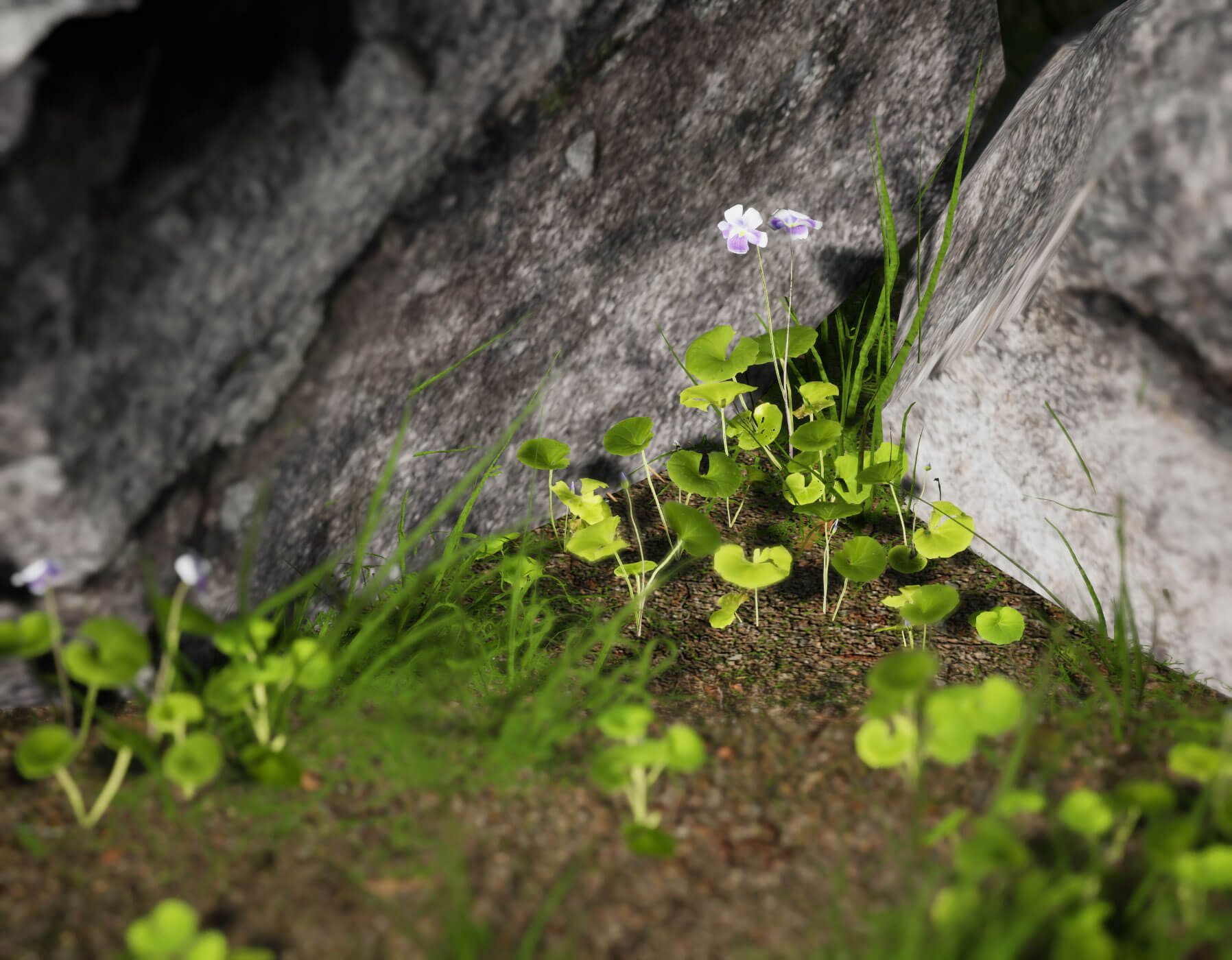 Realistic digital art of ferns and flowers flanked by boulders.