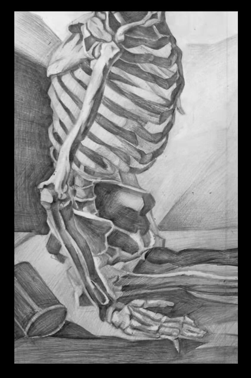 Sketch of a skeleton in a sitting position.