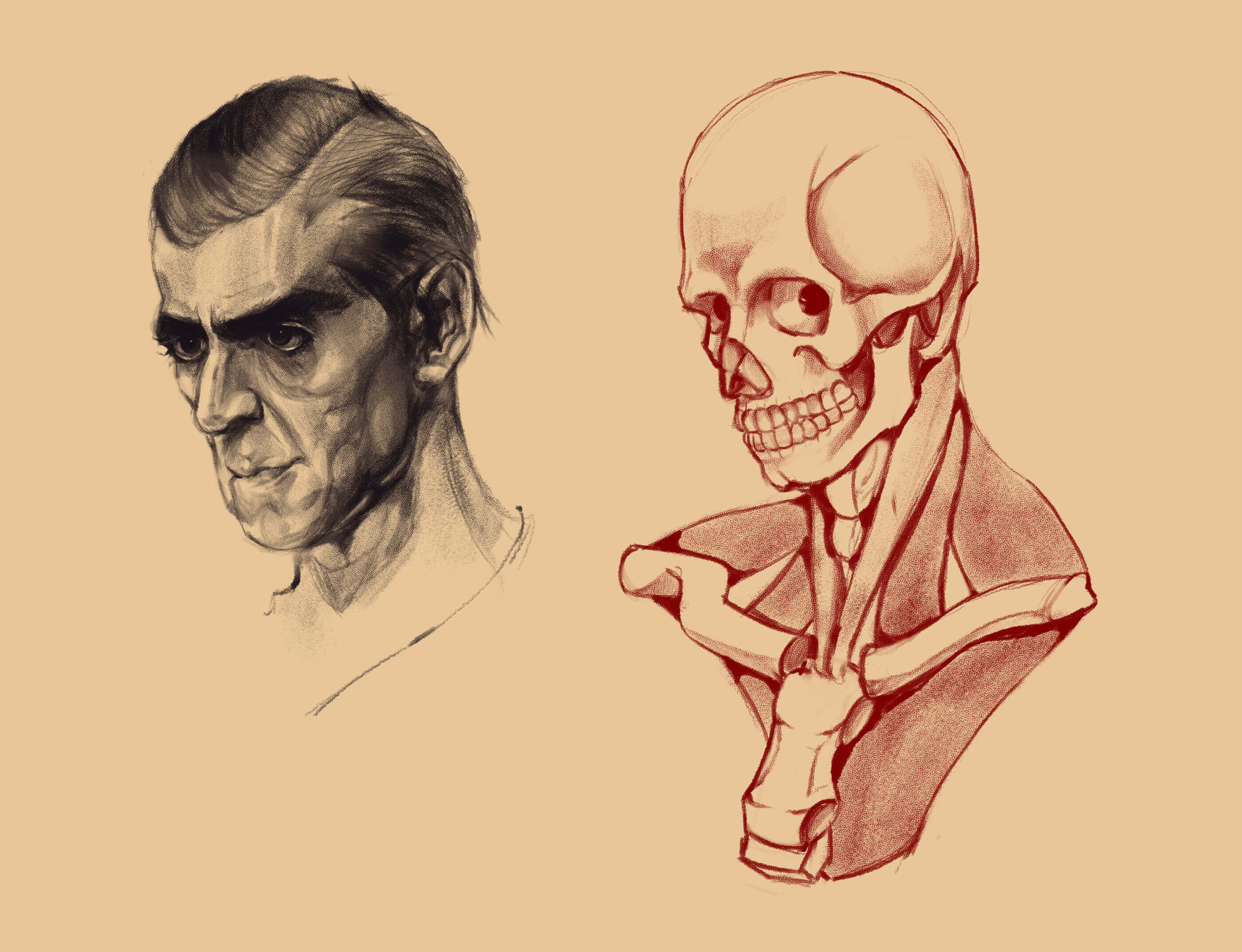 A sketch of a man next to a sketch of a skeleton head.