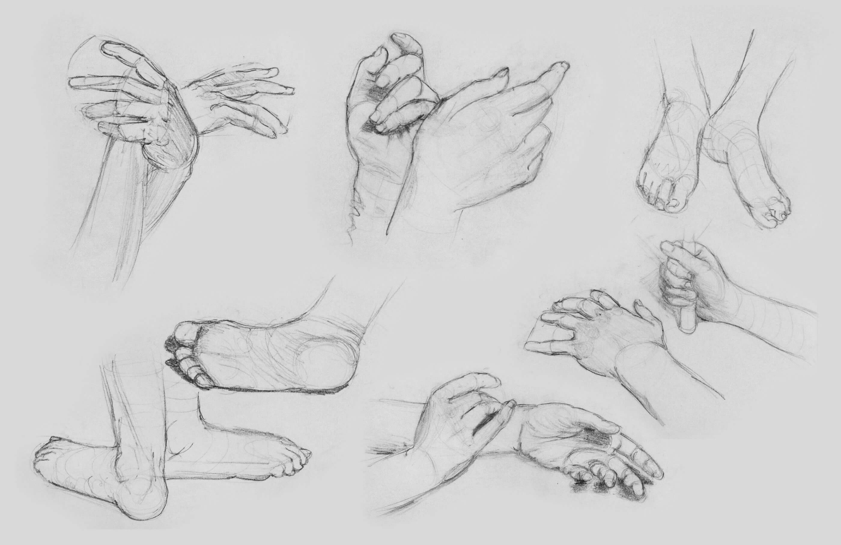 Sketch of hands and feet in various positions.