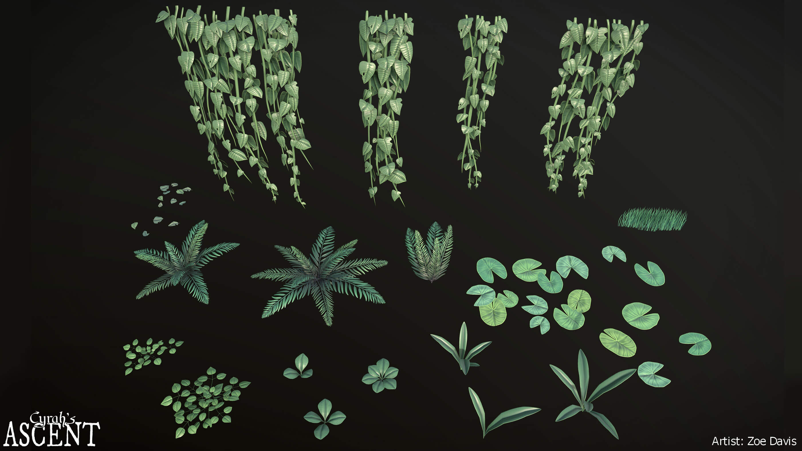 3D models of various plants and ferns.