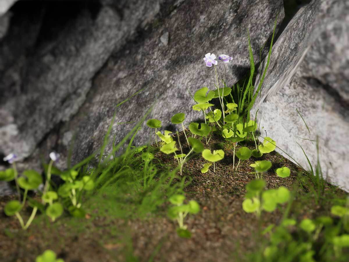 Realistic digital art of ferns and flowers flanked by boulders.