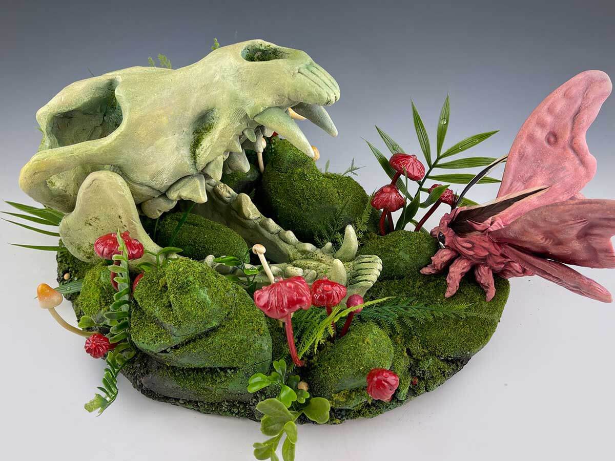An animal skull surrounded by vegetation and a pink moth.