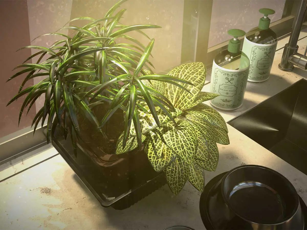 A 3D render of a plant sitting next to a kitchen sink.