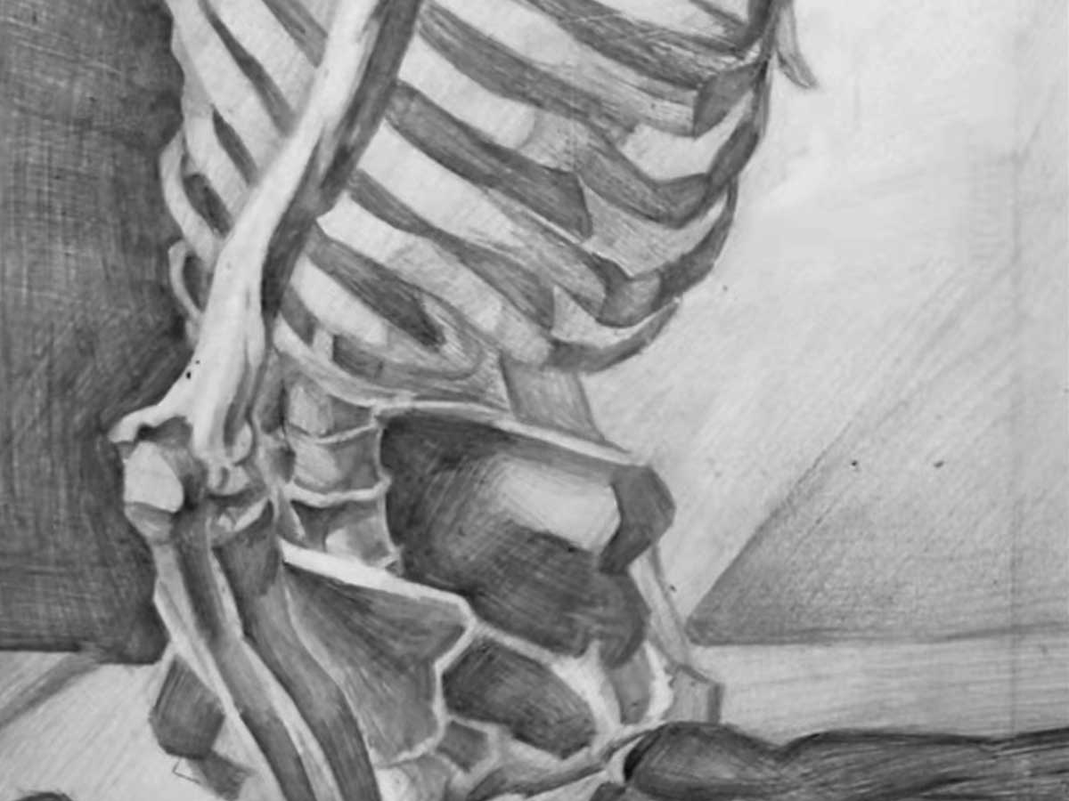 Sketch of a skeleton in a sitting position.