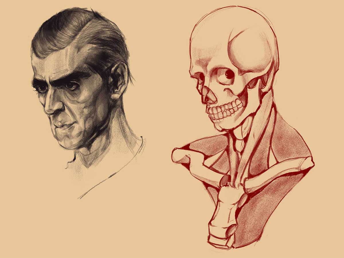 A sketch of a man next to a sketch of a skeleton head.