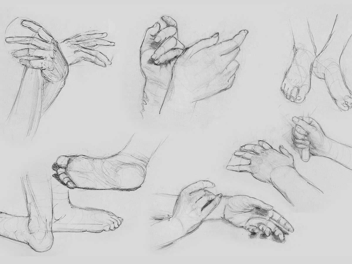 Sketch of hands and feet in various positions.