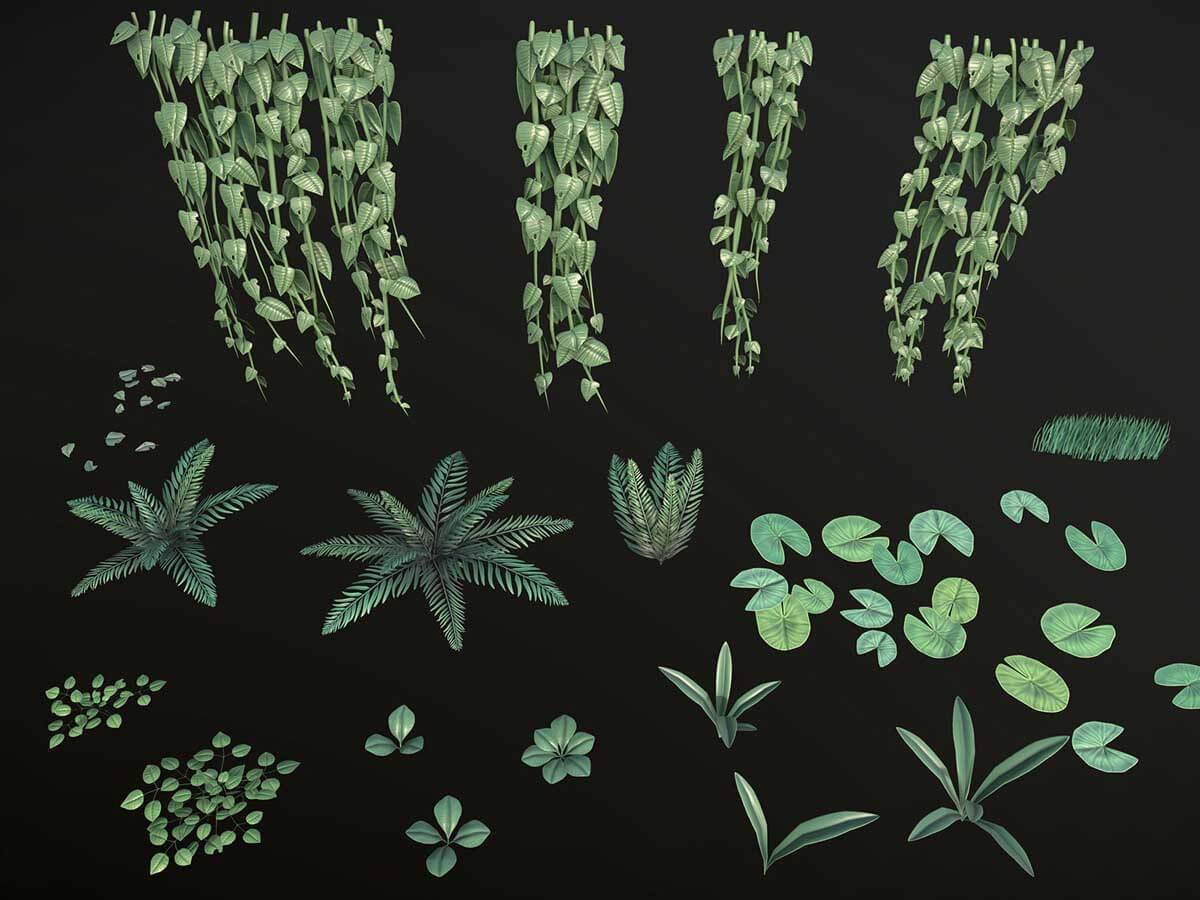 3D models of various plants and ferns.