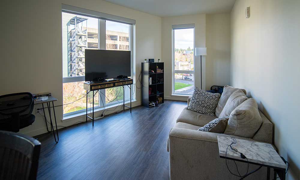 View of furnished living room and a television in front of windows