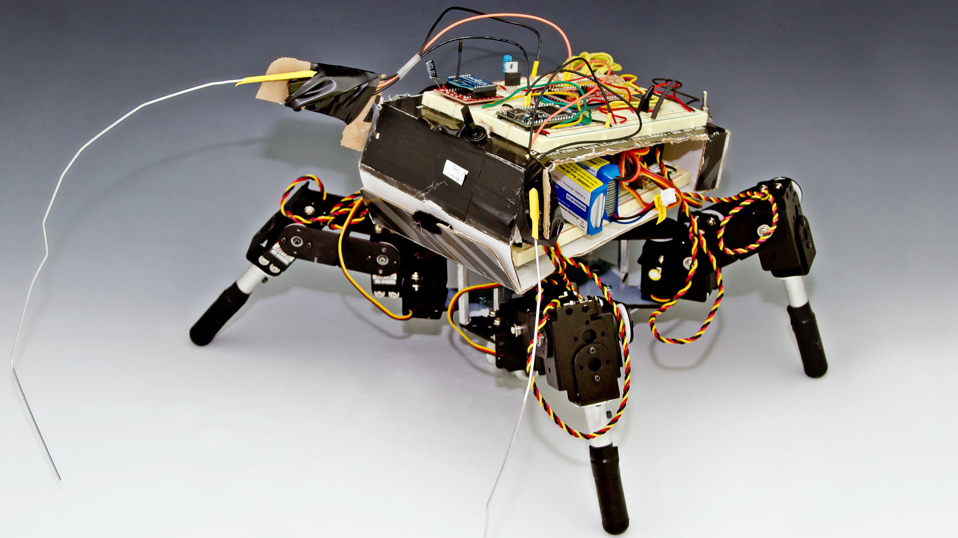 A four-legged robot with exposed wiring and circuitry.