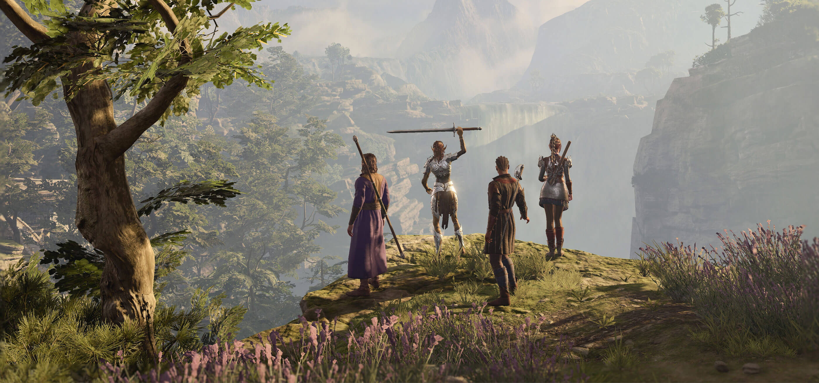 Baldur’s Gate 3 screenshot of a four-character party standing at the edge of a scenic ravine.