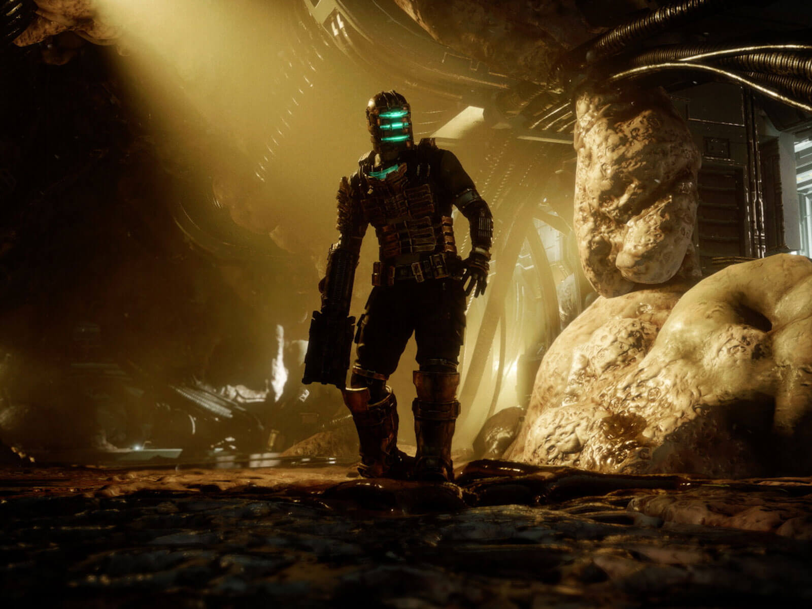 Dead Space protagonist Isaac Clarke stands in a dimly lit room with grotesque organic material growing over the floors, walls, and ceilings.