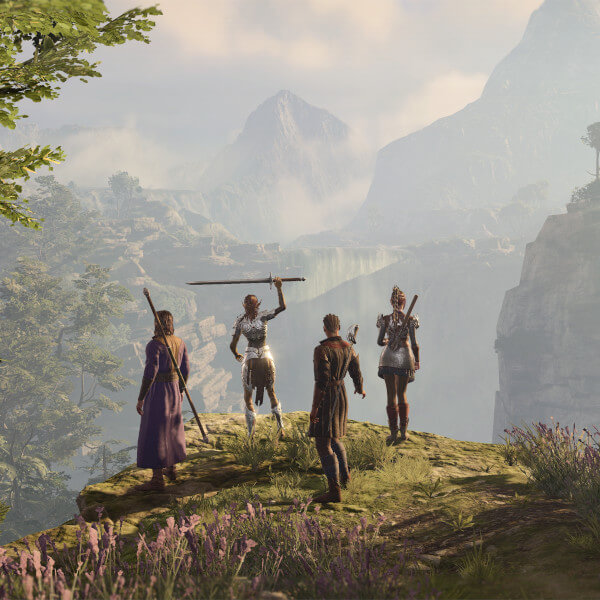 Baldur’s Gate 3 screenshot of a four-character party standing at the edge of a scenic ravine.