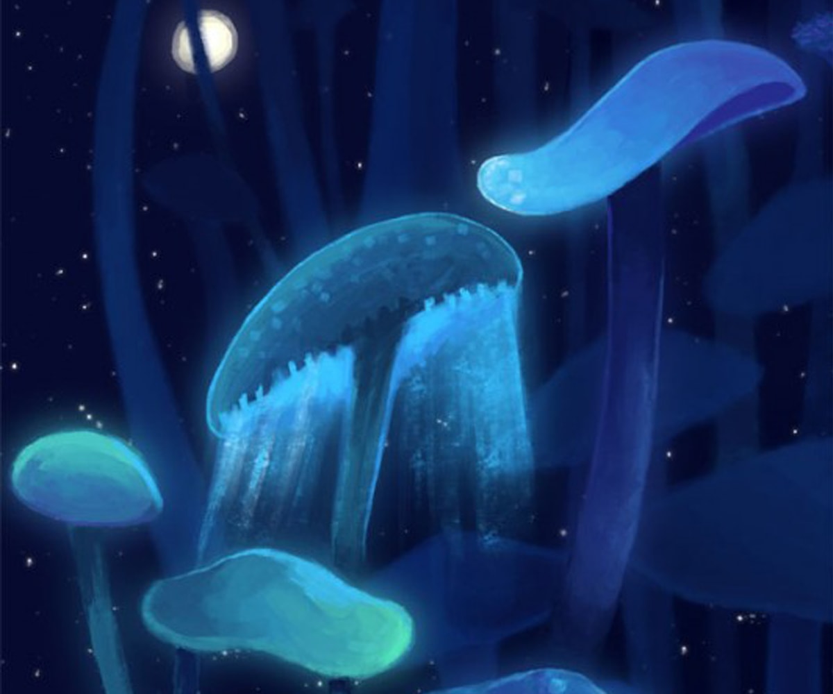 Illustration of tall toadstools in a dark forest