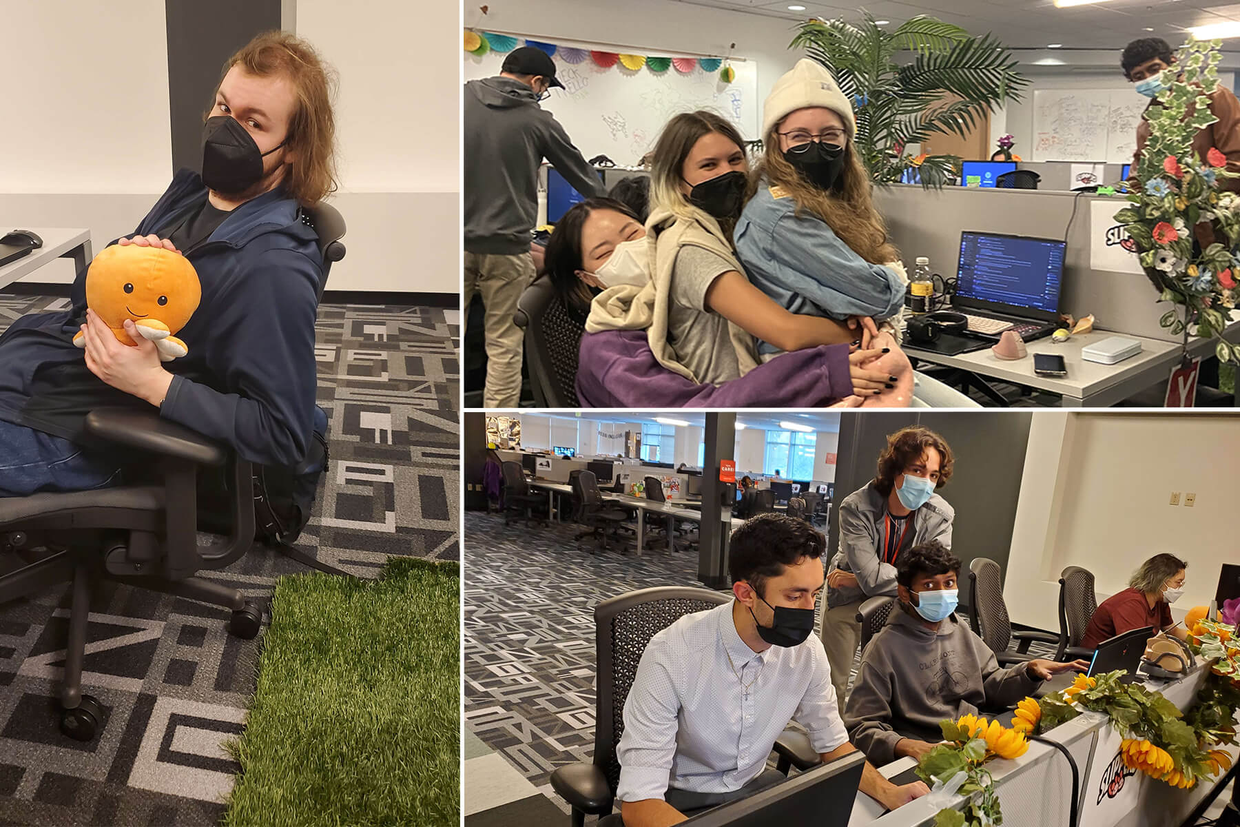 A collage of three photos of Team Slippers working, surrounded by fake plants.