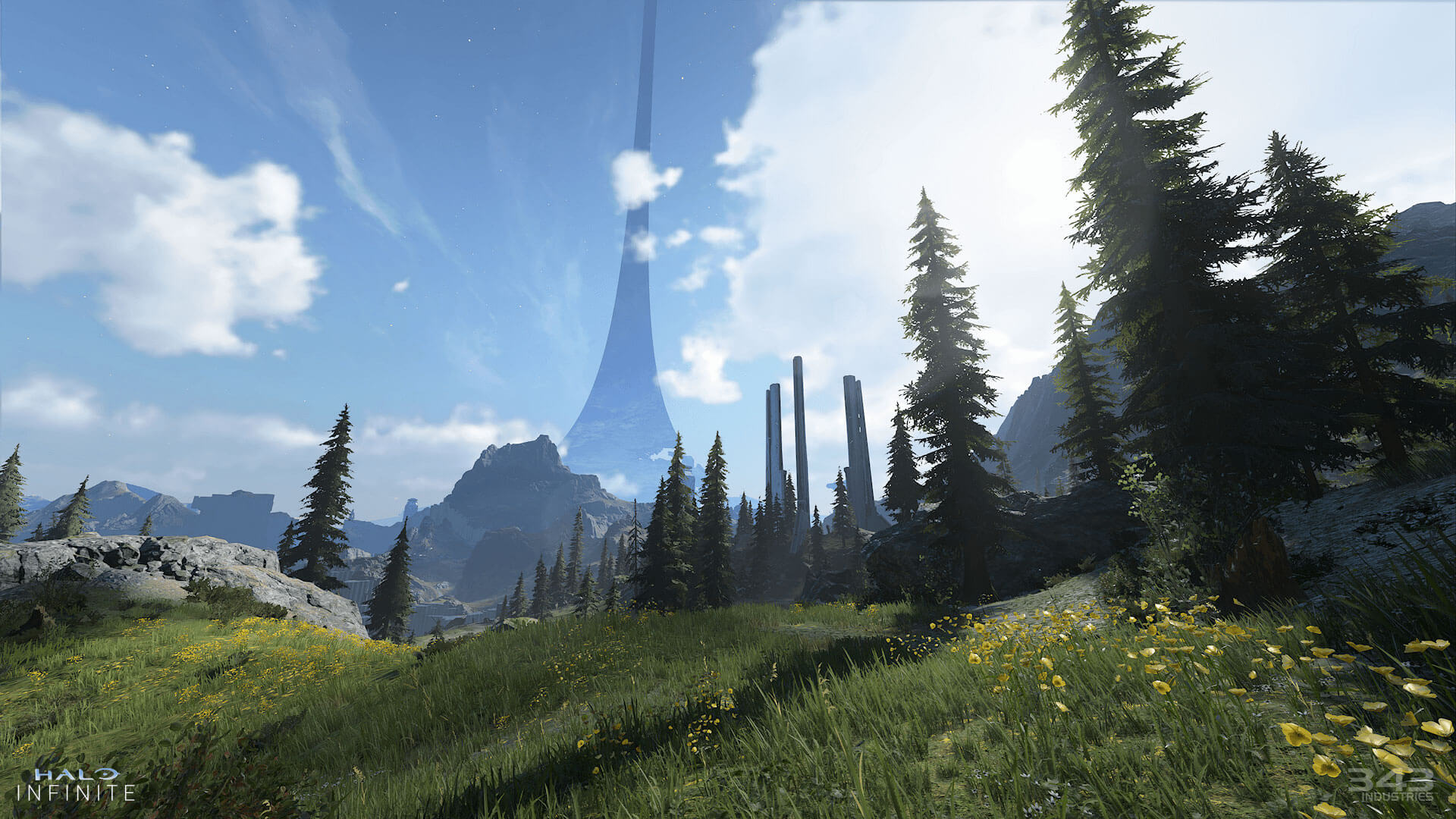 A screenshot of a forested landscape from Halo Infinite.