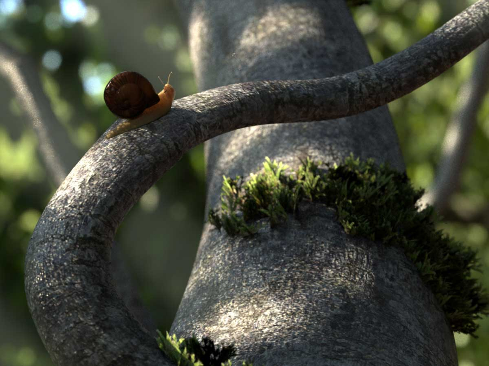A tiny snail on the branch of a tree.