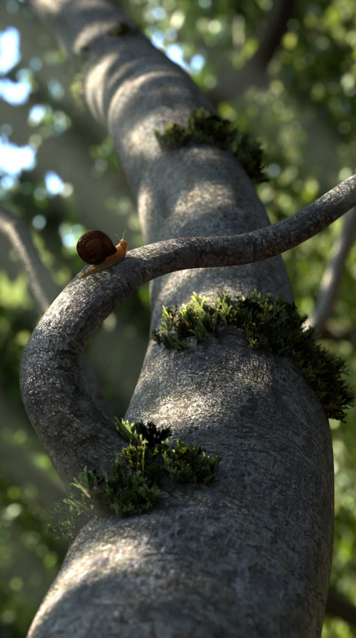 A tiny snail on the branch of a tree.