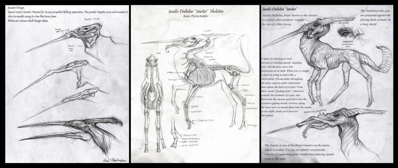black and white drawing of the anatomy of an alien predator with a horse's body and a lance-like protusion on its skull